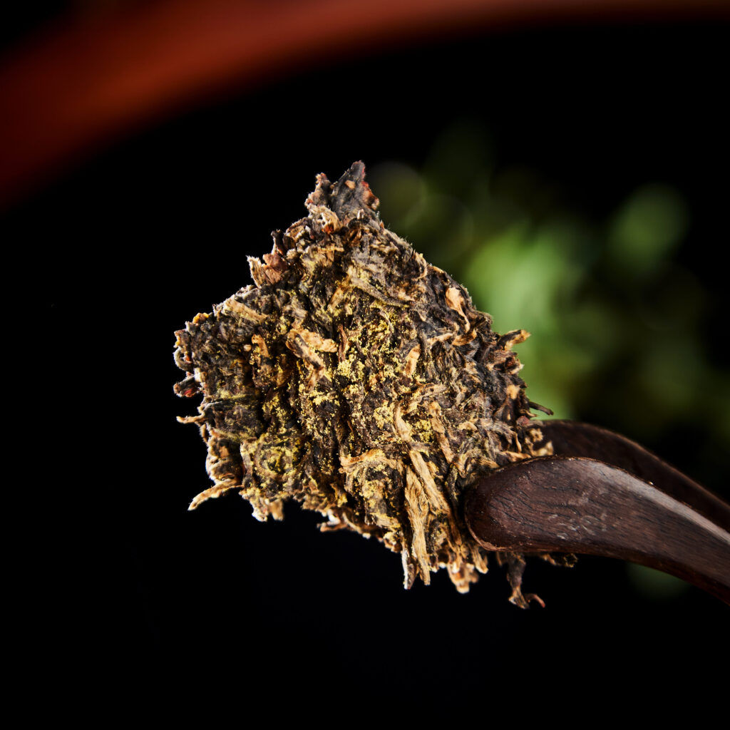 A Fuzhuan brick tea filled with golden flowers.