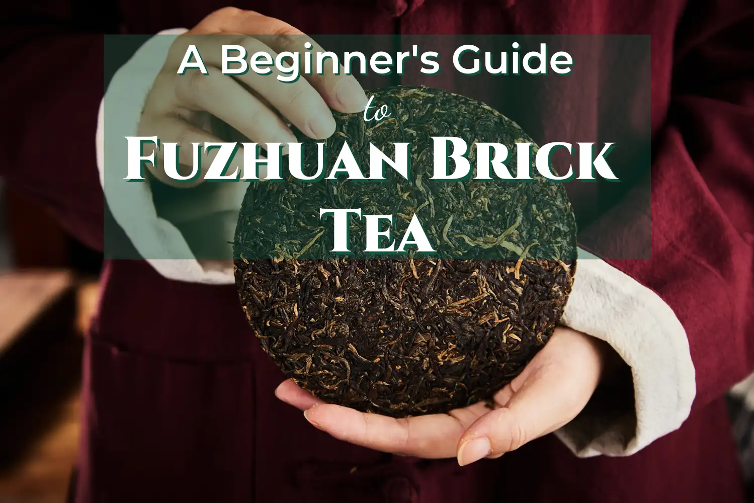 A Beginner's Guide to Fuzhuan Brick Tea