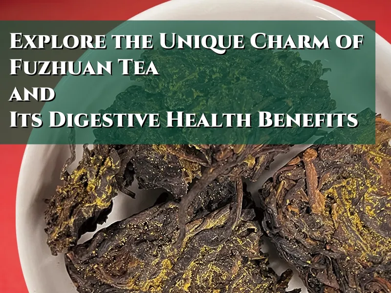 Explore the Unique Charm of Fuzhuan Tea and Its Digestive Health Benefits