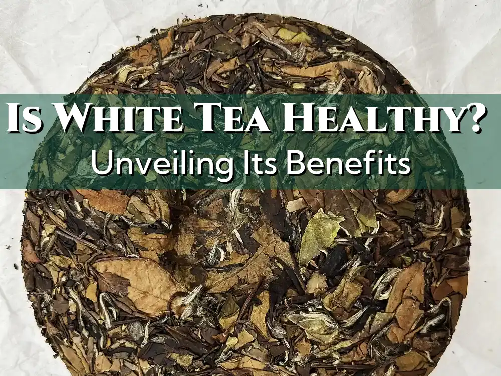 Is White Tea Healthy Unveiling Its Benefits