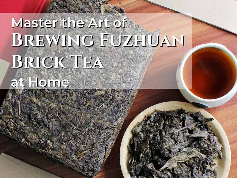 Master the Art of Brewing Fuzhuan Brick Tea at Home