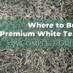 Where to Buy Premium White Tea A Complete Guide