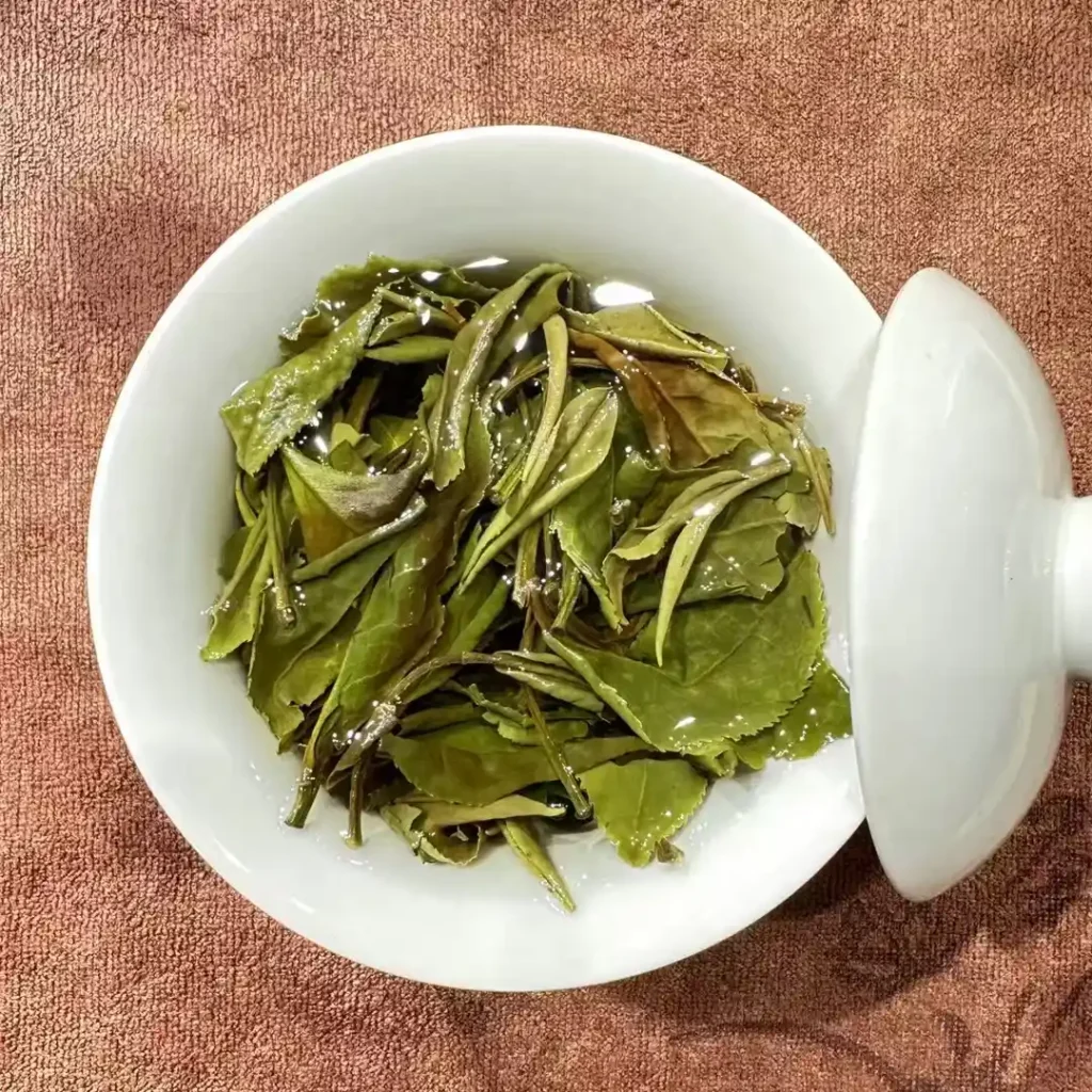 Shou Mei in a Gaiwan