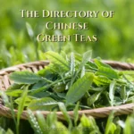 The Directory of Chinese Green Teas