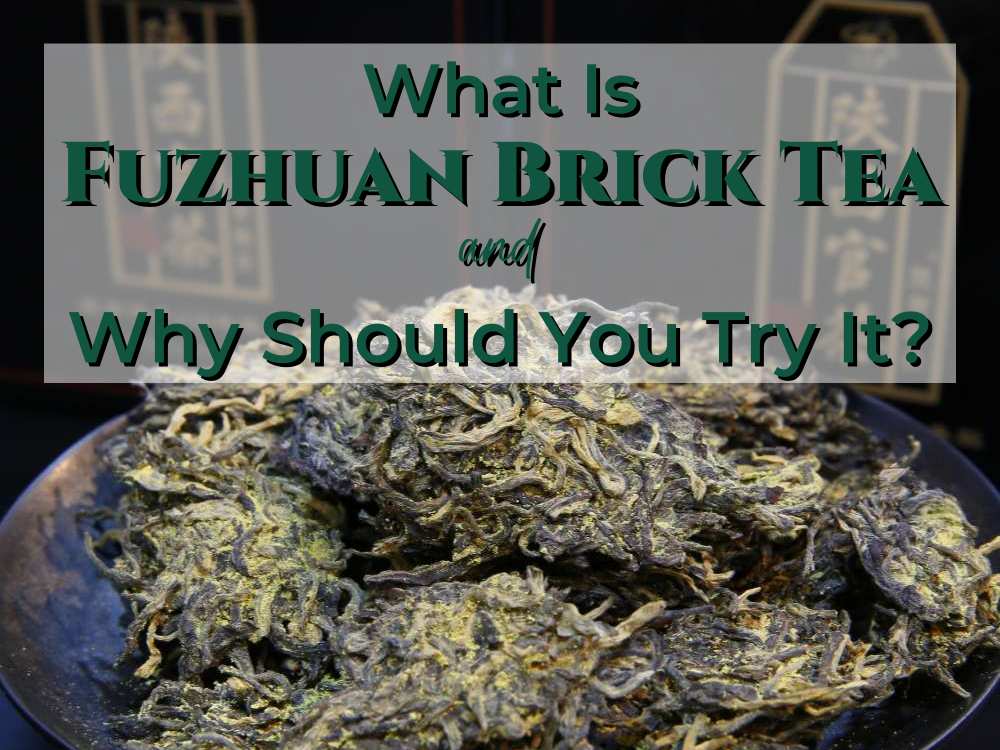 What Is Fuzhuan Brick Tea and Why Should You Try It