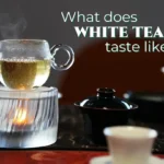 What does white tea taste like