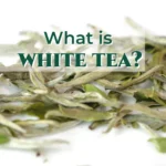 What is white tea