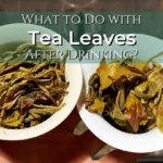 What to Do with Tea Leaves After Drinking