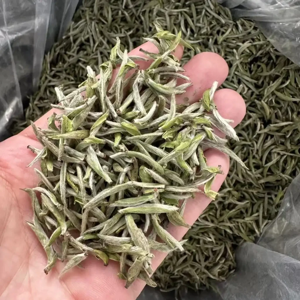 White Hair Silver Needle White Tea, made entirely of buds, the highest grade of white tea.