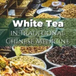 White Tea in Traditional Chinese Medicine